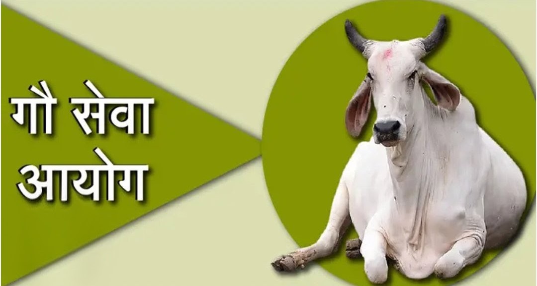 गौ सेवा आयोग के अध्यक्ष व सदस्य 24 को आयेंगे हाथरस , जनपद की गौशालाओं का करेंगे निरीक्षण
