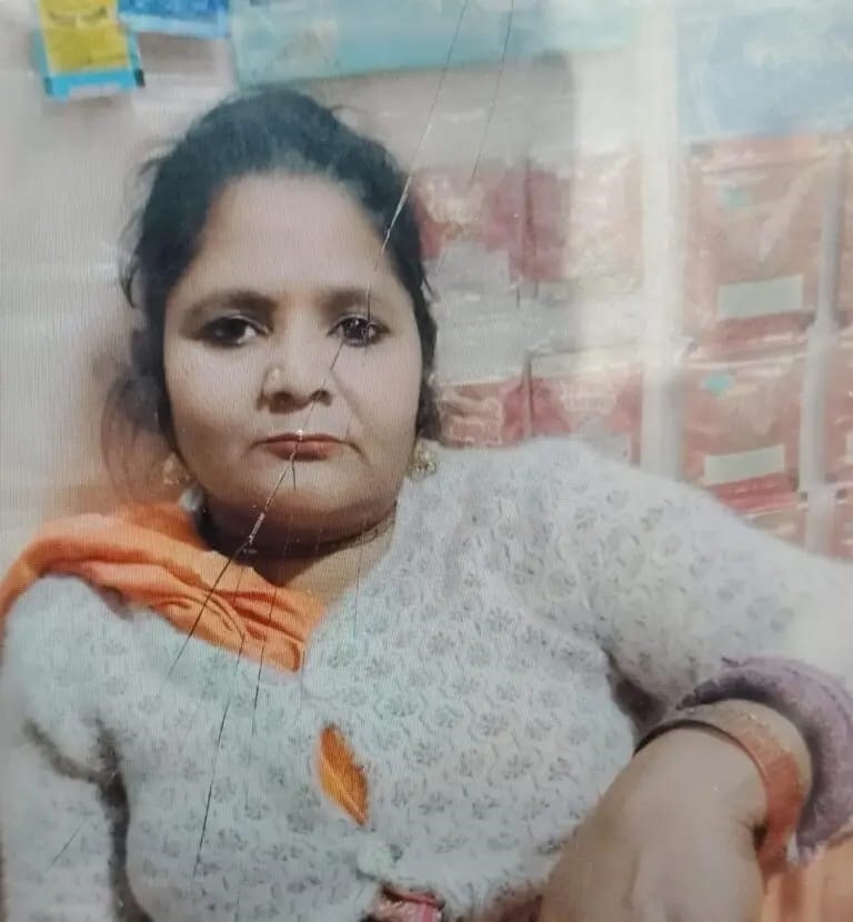 तेज रफ्तार मैक्स पिकअप ने महिला को मारी टक्कर, मौत
