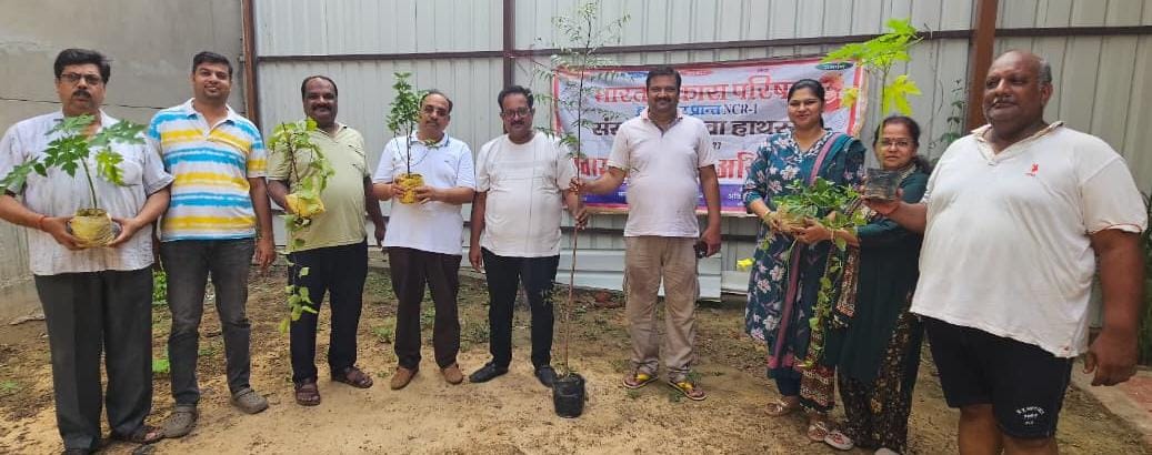 भारत विकास परिषद संस्कार शाखा ने किया 50 पौधों का वृक्षारोपण, पर्यावरण संरक्षण का दिया संदेश